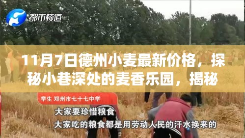 考级报名 第472页