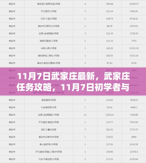 11月7日武家庄任务攻略与初学者进阶指南