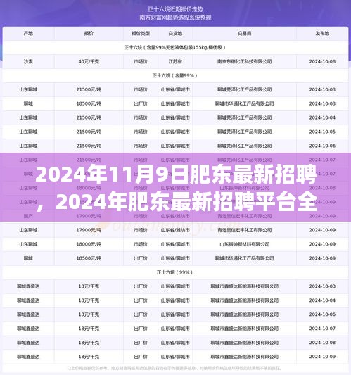 2024年肥东最新招聘平台全面评测，特性、体验、竞争分析与用户洞察