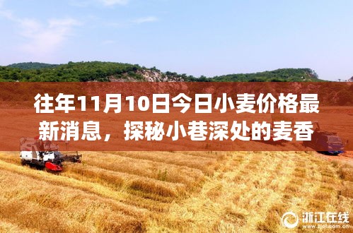 探秘小巷深处的麦香秘境，揭秘小麦价格背后的故事——最新小麦价格行情分析（日期，往年11月10日）