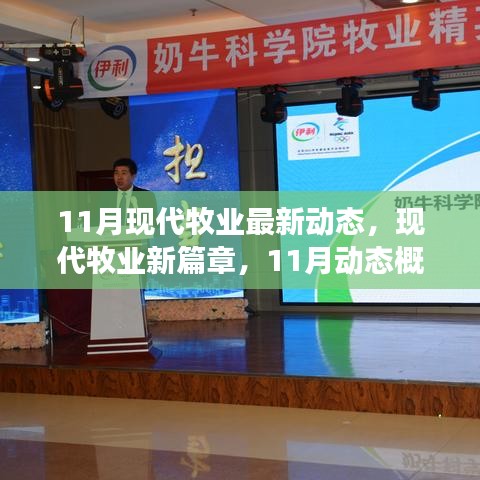 11月现代牧业动态概览，开启新篇章，展望前景发展