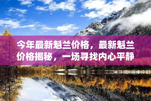 容光焕发 第40页