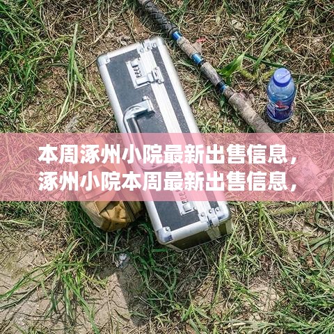 涿州小院本周最新出售信息揭秘，历史脉络、影响与地位全解析