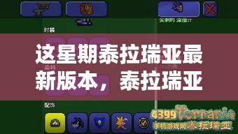 走马观花 第32页