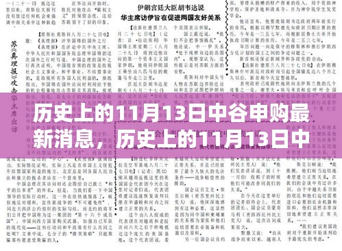 历史上的11月13日中谷申购揭秘，科技新星重塑未来生活体验的最新消息