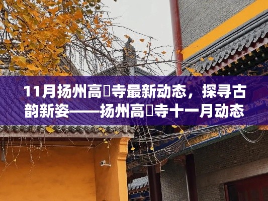 九死一生 第31页