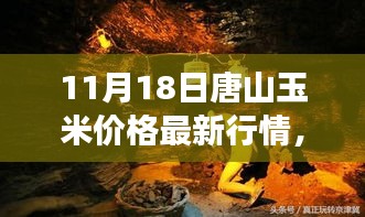 培训课程 第326页