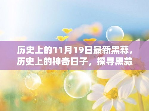 资料下载 第323页