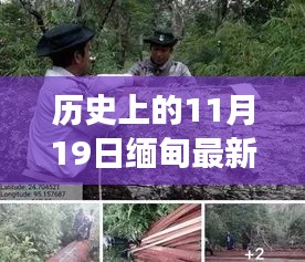 走马观花 第20页