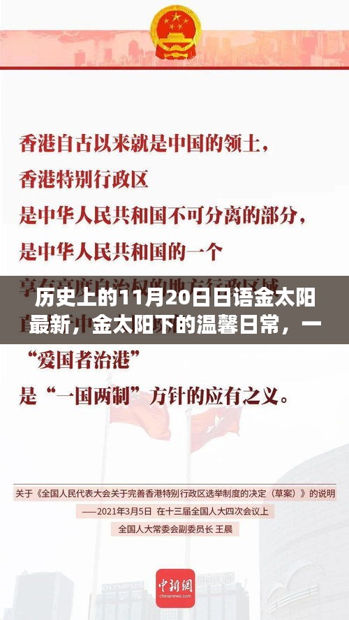 金太阳下的温馨日常，友谊与陪伴的故事