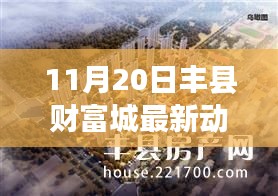 揭秘丰县财富城最新动态，11月20日精彩纷呈，抢先看精彩活动