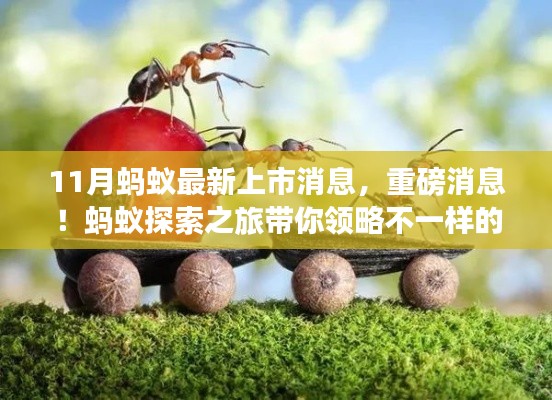 初遇在故事开头 第17页
