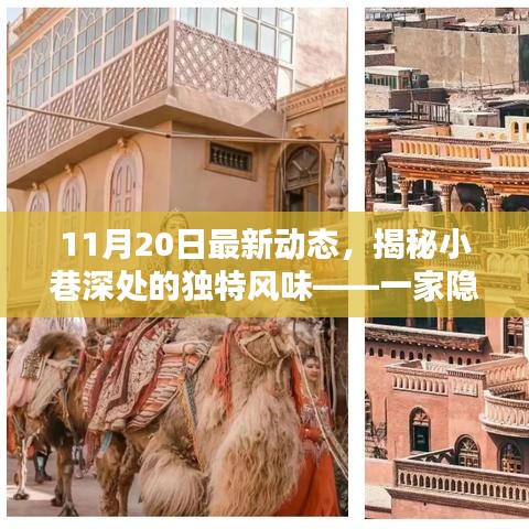 神采奕奕 第19页