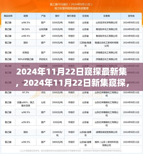 窥探最新集，视觉盛宴的期待与揭秘（2024年11月22日）