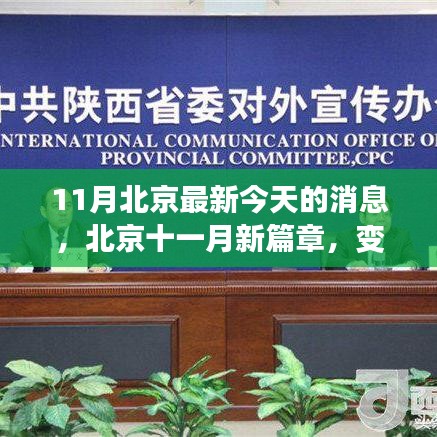 北京十一月新篇章，学习力量与自信之光的闪耀变化