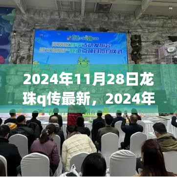 2024年11月28日龙珠Q传最新动态，开启全新篇章的无限可能