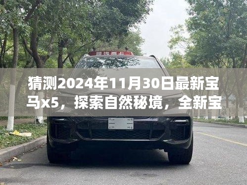 走马观花 第12页