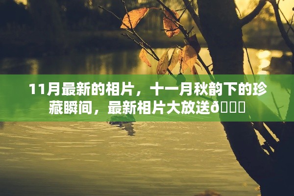 心急如焚 第13页