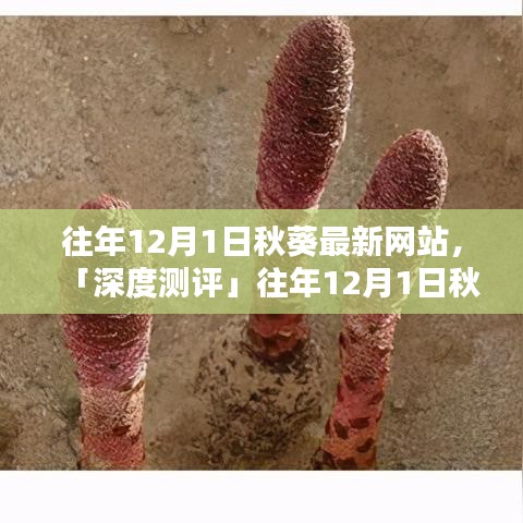 考级报名 第254页
