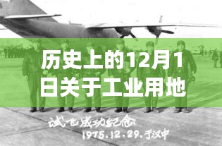 神采奕奕 第11页