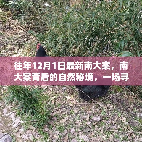 考级报名 第248页