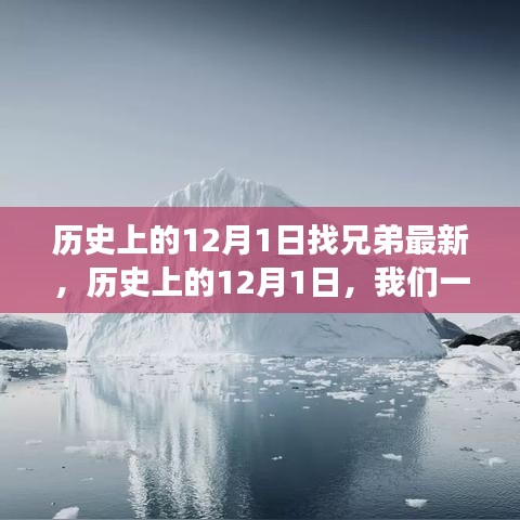 考级报名 第247页