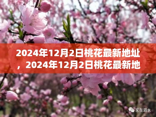 九死一生 第9页