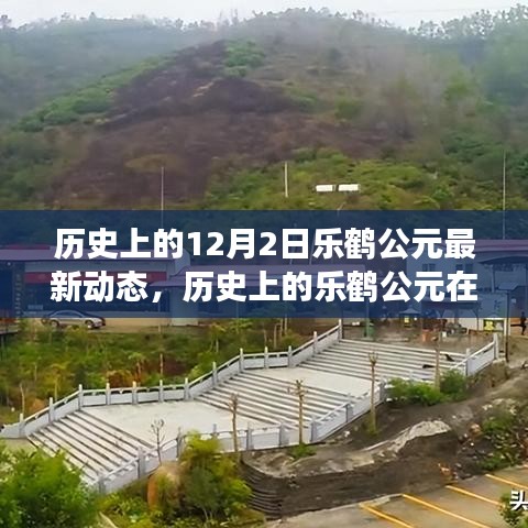 走马观花 第8页