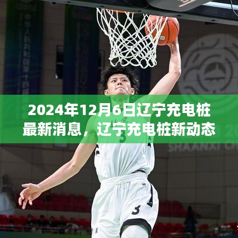 辽宁充电桩新动态揭秘，心灵与自然共舞之旅启程于2024年12月6日