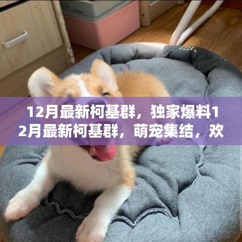 联系我们 第205页