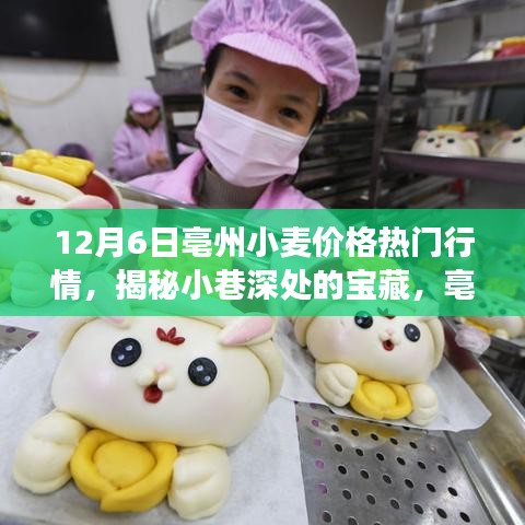 对答如流 第5页