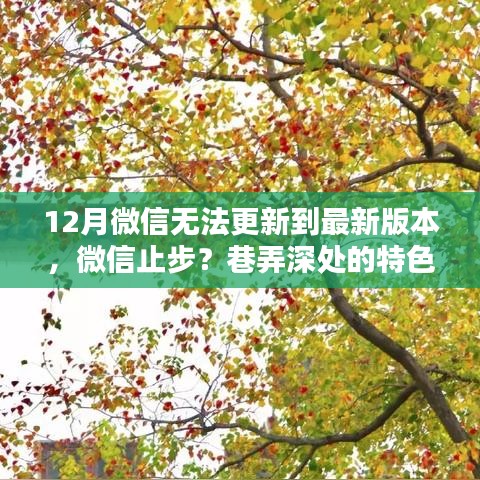 巷弄深处的特色小店奇遇记，微信止步旧版本引发关注