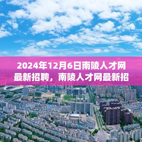 南陵人才网最新招聘动态，聚焦未来职场机遇（2024年12月）
