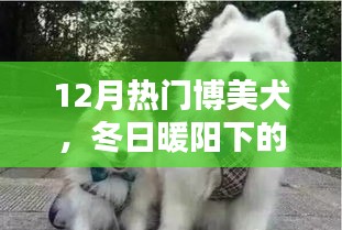 fanglanjingti 第3页