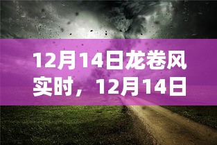 feizhujianyu 第3页