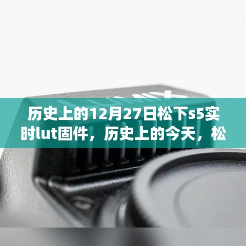 张牙舞爪 第2页