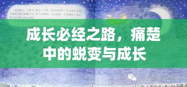 关于我们 第163页