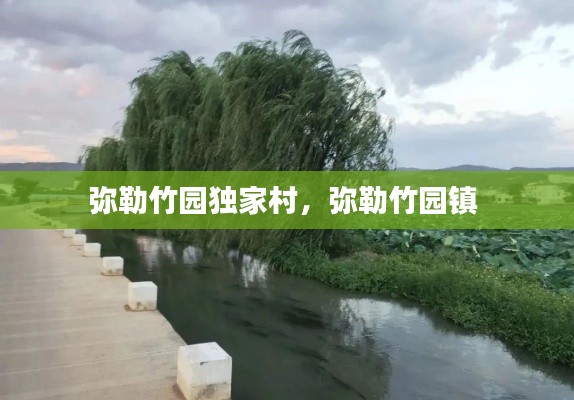 别出新意 第2页