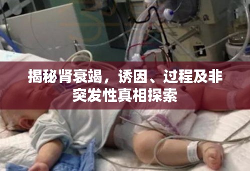 布被瓦器 第2页