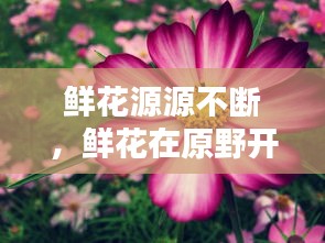 资料下载 第142页