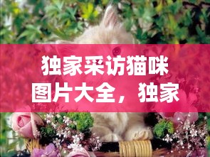 废寝忘食 第2页