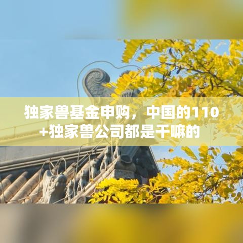 张灯结彩 第2页