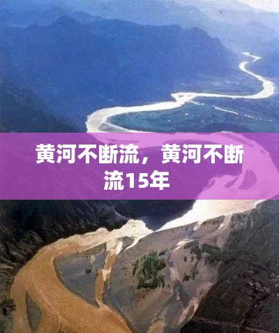 雅量高致 第2页