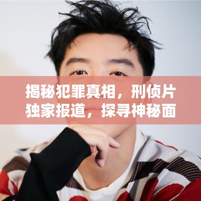 纲挈目张 第2页