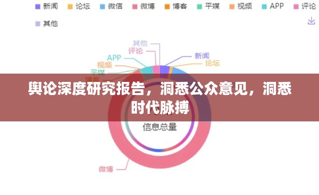 舆论深度研究报告，洞悉公众意见，洞悉时代脉搏