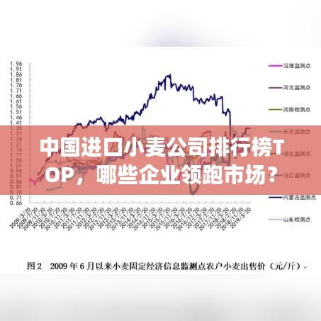 联系我们 第97页