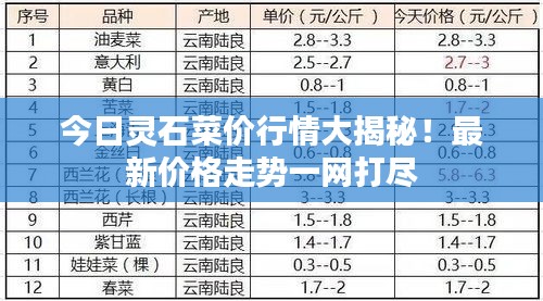 quncizhouzhou 第2页