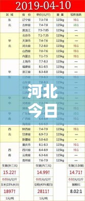 集思广益