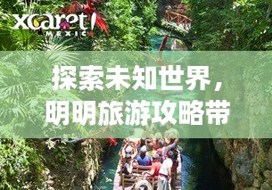 考级报名 第47页