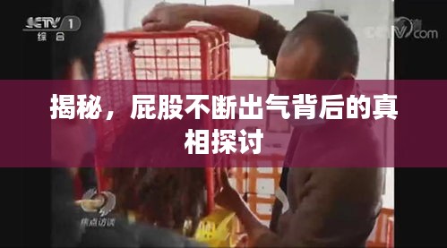 资料下载 第41页